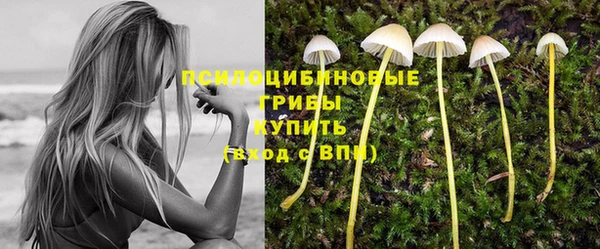 мдма Заволжье