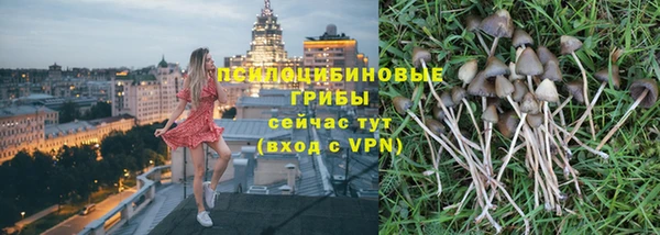 прущая мука Заводоуковск