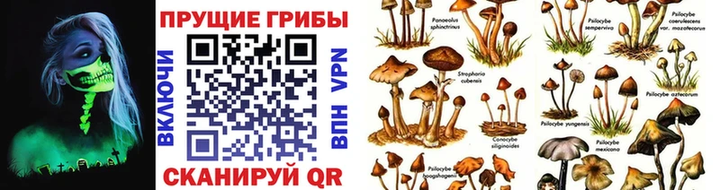 Псилоцибиновые грибы ЛСД  Купить где  Заозёрный 